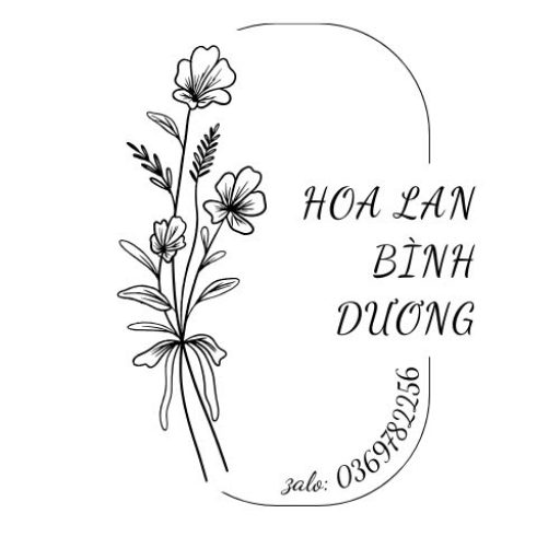 hoa lan bình dương